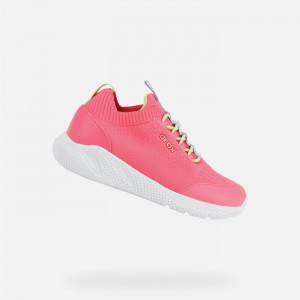 Fluo Fuchsia Geox Sprintye | 8675-SZKND