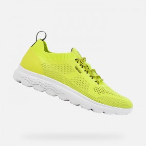 Fluo Green / Black Geox Spherica | 7095-EUXWP