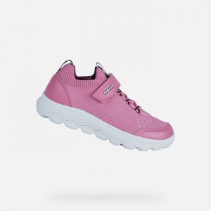 Fuchsia Geox Spherica | 4375-VUFDJ