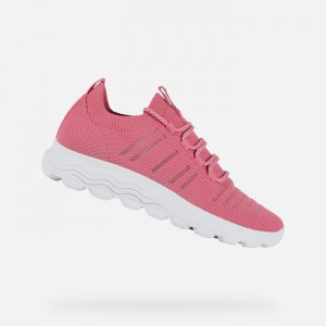 Fuchsia Geox Spherica | 8451-NCQVF