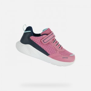 Fuchsia / Navy Geox Sprintye | 6913-OIXRD