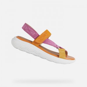 Fuchsia / Orange Geox Spherica Ec5w | 8342-FVMYP
