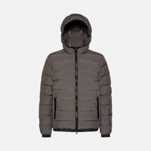 Gray Pinstripe Geox Spherica | 6082-WTBNQ