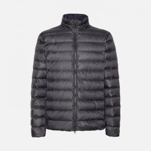 Gray Pinstripe / Black Geox Dereck | 9036-CMEZH