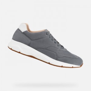 Grey Geox Radente | 9065-ZNDSJ