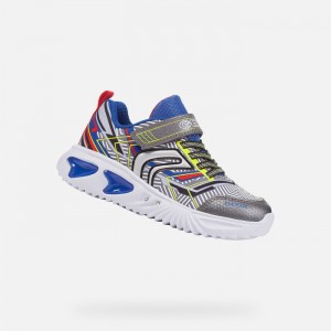 Grey / Royal Geox Assister | 0176-RIBVH