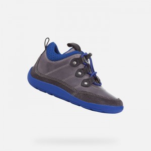 Grey / Royal Geox Barefeel | 6478-FPWGI