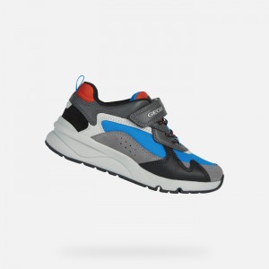 Grey / Sky Geox Rooner | 3476-NLGJA