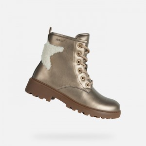 Lead Geox Casey | 2458-EHZTK
