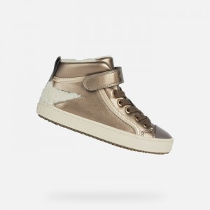 Lead / Cream Geox Kalispera | 8196-FIOZG