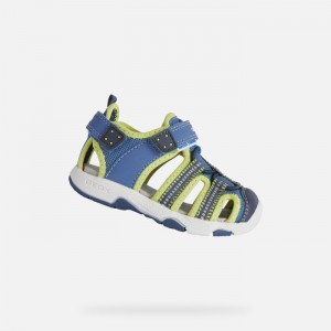 Light Blue / Lime Geox Sandal Multy | 2819-EKDQI
