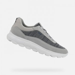 Light Grey Geox Spherica | 3526-RGAUC