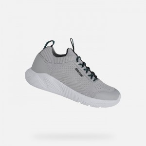 Light Grey Geox Sprintye | 0487-EOTBQ