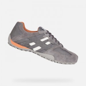 Light Grey / Anthracite Geox Snake | 4502-BZNEY