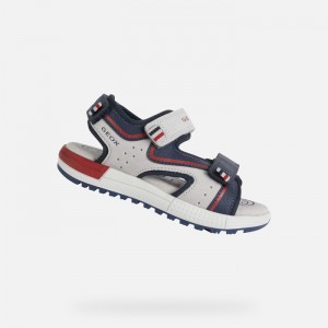 Light Grey / Navy Geox Sandal Alben | 4930-PZCNB
