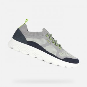Light Grey / Navy Geox Spherica | 9528-BAPYZ