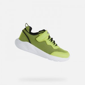Lime / Black Geox Sprintye | 5894-RFXUV