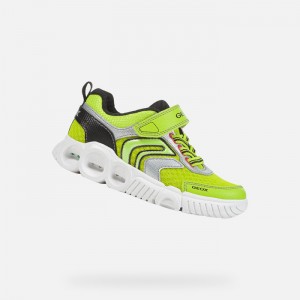 Lime / Black Geox Wroom | 2905-GMPVC