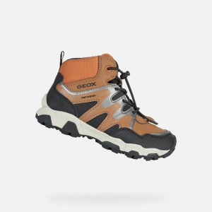 Lt Brown / Black Geox Magnetar Abx | 6179-VRYNZ