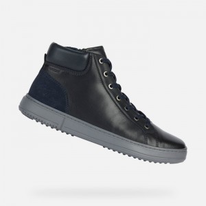 Navy Geox Levico | 4680-MOLYB