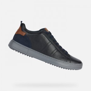 Navy Geox Levico | 9513-WJLDM