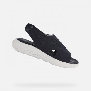 Navy Geox Spherica Ec5 | 6981-BPDAN