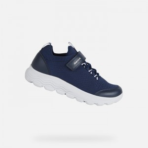 Navy Geox Spherica | 4192-QRYGP