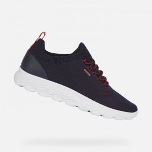 Navy Geox Spherica | 7145-RGJFI