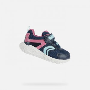 Navy / Fuchsia Geox Sprintye | 5648-GFRID