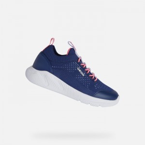Navy / Fuchsia Geox Sprintye | 8930-OBWEI