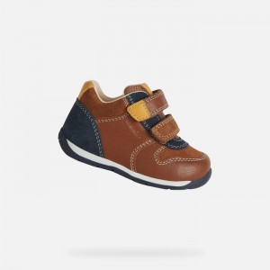 Nut / Navy Geox Each | 1487-NUBVW
