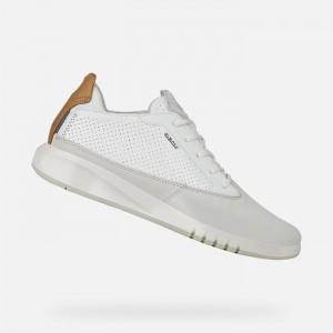 Papyrus / White Geox Aerantis | 8039-KJPMO