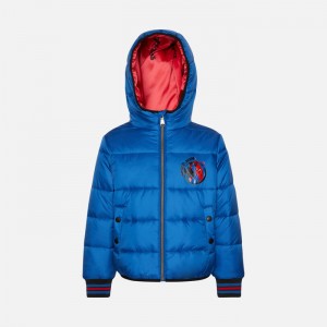 Parrot Blue Geox Moner | 6405-RATGH