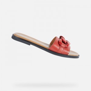 Red Geox Naileen | 2570-WVBRQ