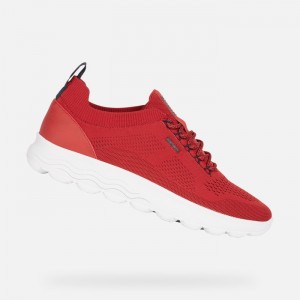 Red Geox Spherica | 7821-BGLKC