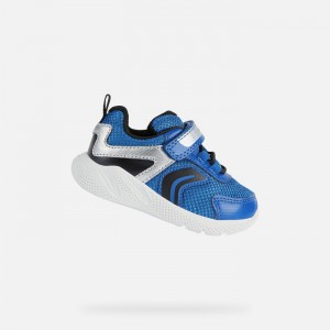 Royal / Black Geox Sprintye | 4960-WTFPI