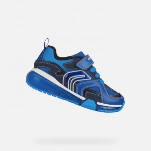 Royal / Light Blue Geox Bayonyc | 2356-TAWMZ