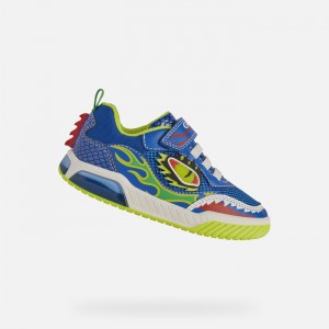 Royal / Lime Geox Inek | 5681-XZJLV