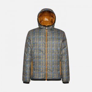 Sky Captain / Wood Thrush Geox Ravex | 0293-GYRQU