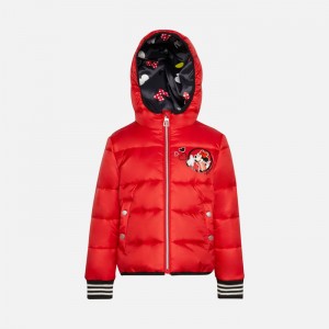 True Red Geox Jaylon | 1956-IDCZY