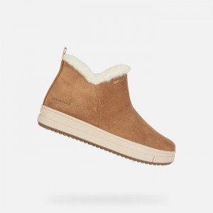Whisky Geox Rebecca | 1069-IMPWU