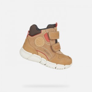 Whisky / Brown Geox Flexyper Abx | 3901-BPXTK