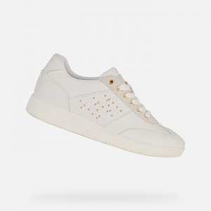 White Geox Meleda | 3891-SFJCV
