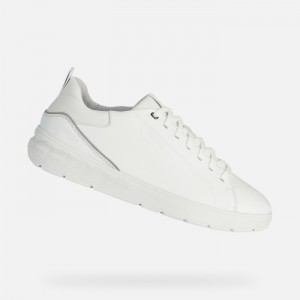 White Geox Spherica Ec4 | 4087-JBNFU