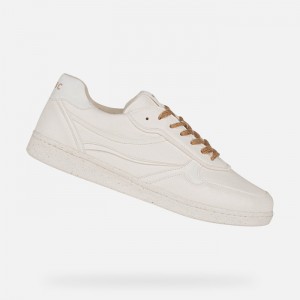 White Geox Warrens | 0761-IKCVY
