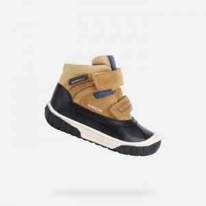 Yellow / Blue Geox Omar | 8170-IXSMU