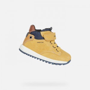 Yellow / Navy Geox Alben | 7984-HUCFP